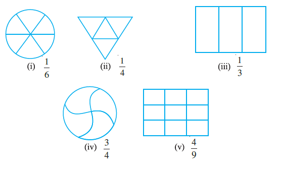 Page 135 Chapter 7 Class 6th Non-Rationalised NCERT 2019-20